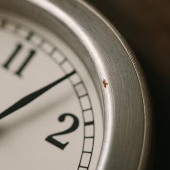 Close-up of tiny blemish on bezel